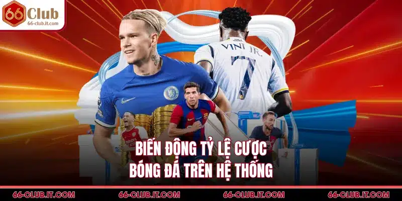 Biến động tỷ lệ cược bóng đá trên hệ thống