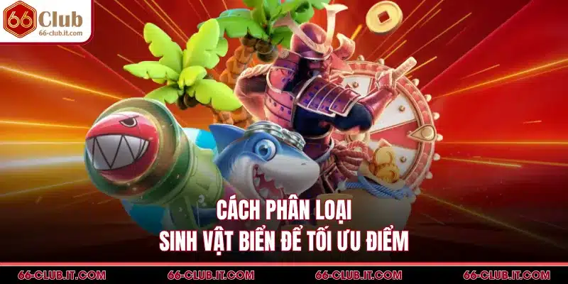 Cách phân loại sinh vật biển để tối ưu điểm