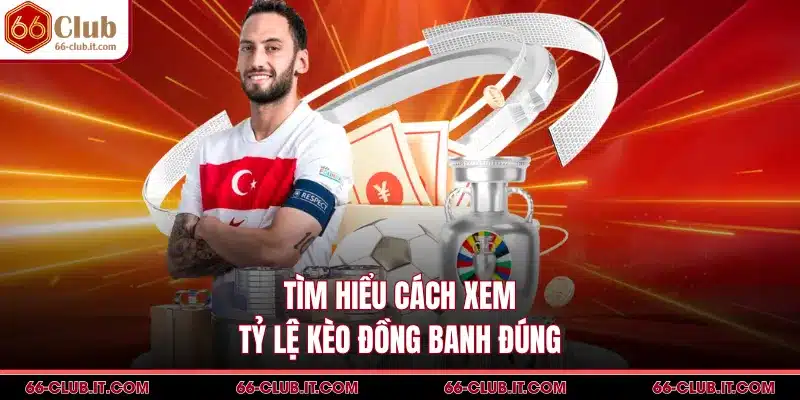 Tìm hiểu cách xem tỷ lệ kèo đồng banh đúng