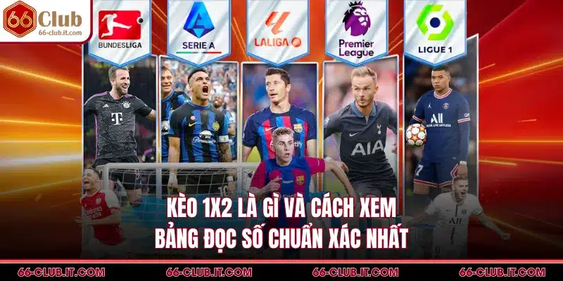 Kèo 1x2 Là Gì Và Cách Xem Bảng Đọc Số Chuẩn Xác Nhất